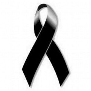 Meet your Posher, Tere